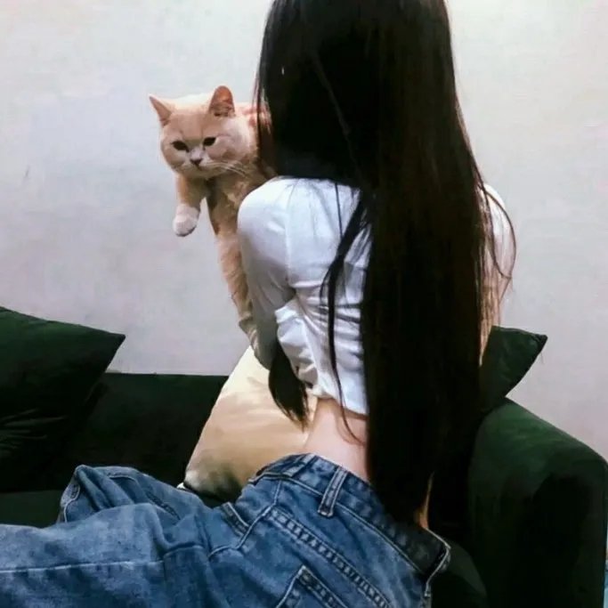 异星迷航